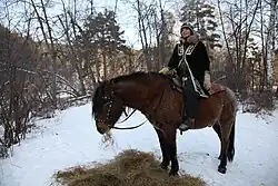 Photographie d'un gros cheval marron et noir avec une femme sur son, dos dans la neige.