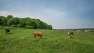 Loukino (raïon de Bogorodsk)