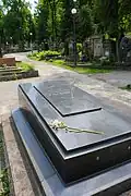 Writer's grave at the Lychakiv Cemetery