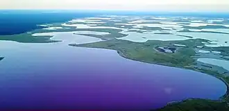 Raïon de Mikhaïlovskoïe (kraï de l'Altaï)