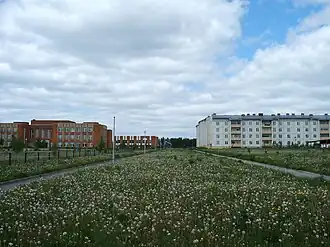 Microraïon de Koutouzov.