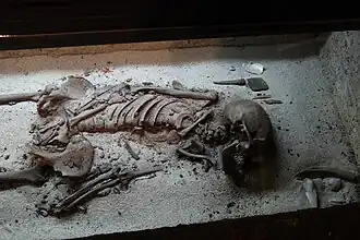 Image illustrative de l’article Champ funéraire de l'île d'Oleni