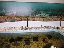 Restes de piliers originaux dans le musée.