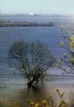 Vue de l'église sur l'île