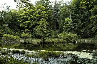 Lac Lebedyn, classé.