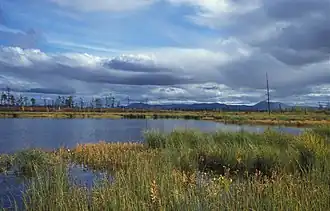 Marécages de la réserve naturelle de Magadan.
