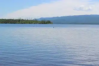 Le lac avec un oiseau sur l'eau.