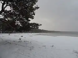 bords gelés d'un lac (2016) ;