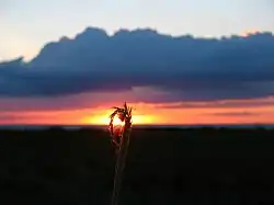 La rive de l'estuaire d'Utliuk dans la partie sud de l'estuaire de Fedotova.