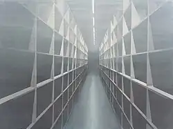 Pavel Otdelnov. lons. 2021