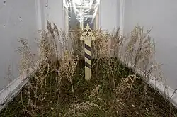 Pavel Otdelnov. Tetcha. 2021