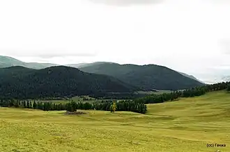 Autre tumulus. Le village se situe derrière le bois.