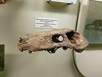 Description de cette image, également commentée ci-après