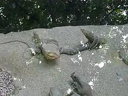 et préhistoriques à Odessa.