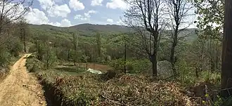 Borovo (Kriva Palanka)