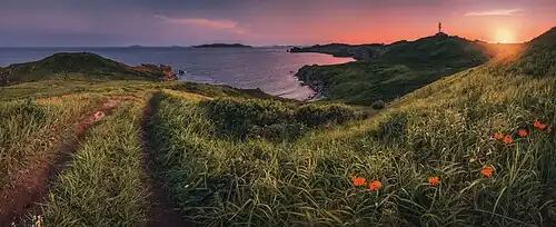 Péninsule de Bruce.