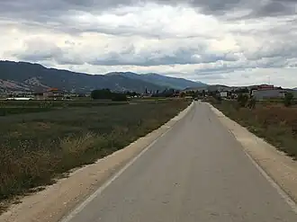 Kroucheani