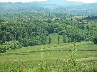 Vlaškovci