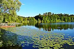 Volga-Kama Zapovednik