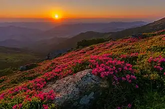 Vue des Carpates dans l'oblast d'Ivano-Frankivsk.