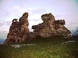 le château de Korolevo, classé, patrimoine national N°178 ;