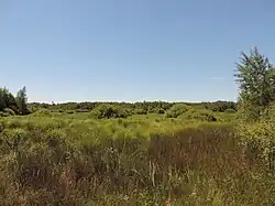 paysage de tourbière (2018) ;