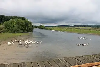 La réserve de Bakiriskiy réserve naturelle.