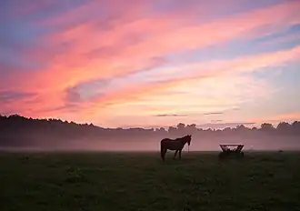 Réserve de Bouchtchansky, classée