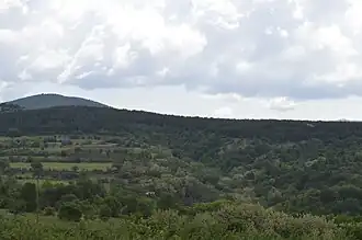 Kiselitsa (Deltchevo)