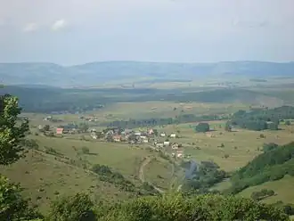 Čitluk (Sjenica)