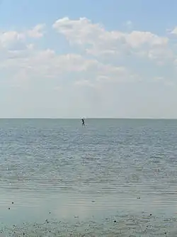 Une personne montre la faible profondeur du Syvach.