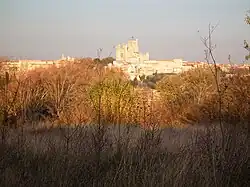 Vue sur la ville et la cathédrale Saint-Nazaire de Béziers.
