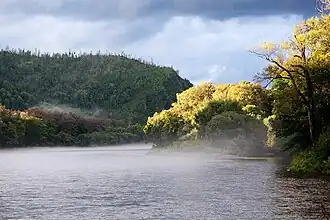 Brume en août sur le cours moyen.