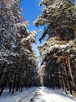 la réserve de Babka, classé,