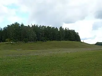 Photographie d'une colline verte recouverte d'un bosquet.