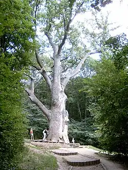 et celui à Ouman, Réserve nationale historique et naturelle de Tchyhyrine classé n° 71-254-0027.
