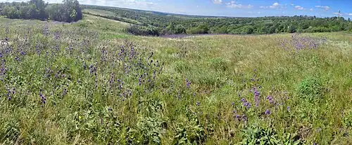 La réserve naturelle de Urotchyche Khorocheve, classée patrimoine naturel