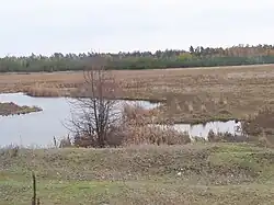 La réserve de Yamnyi.