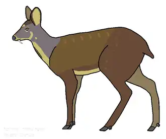 Description de l'image אייל מושק אנחווי - איור של משתמש-מנחם.אל.PNG.