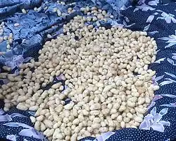 Mûres blanches en Iran.