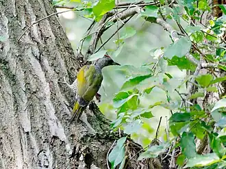 Description de cette image, également commentée ci-après