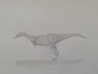 Description de l'image キウパニクス.jpg.