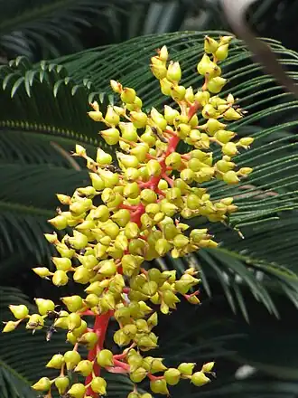 Description de cette image, également commentée ci-après