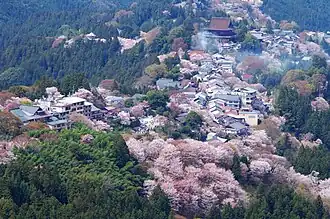 Yoshino, un des sites ou la pratique du shugendō se développe.