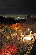 大山阿夫利神社の紅葉