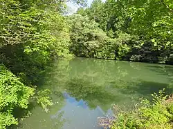 Nishiboraike (West Cave Pond) at Ōagata Shrine
