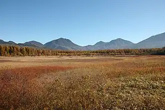 Photo couleur d'une pleine herbeuse aux couleurs automnales, avec, en arrière-plan, une chaîne de montagnes boisées, sous un ciel bleu.