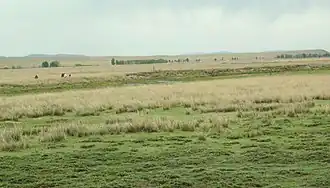 Bannière unie de Darhan Muminggan