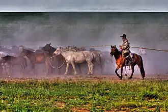 Cavalier dans l'Est de la bannière d'Ujumqin