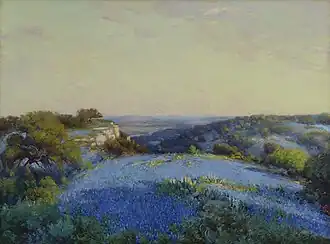 Near San Antonio, 1918, Musée d'Art de San Antonio